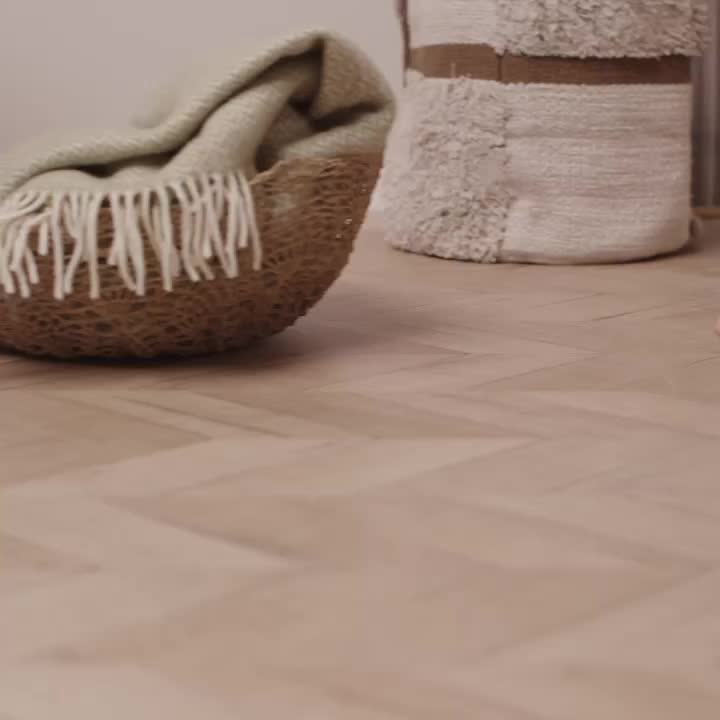 Video del proyecto